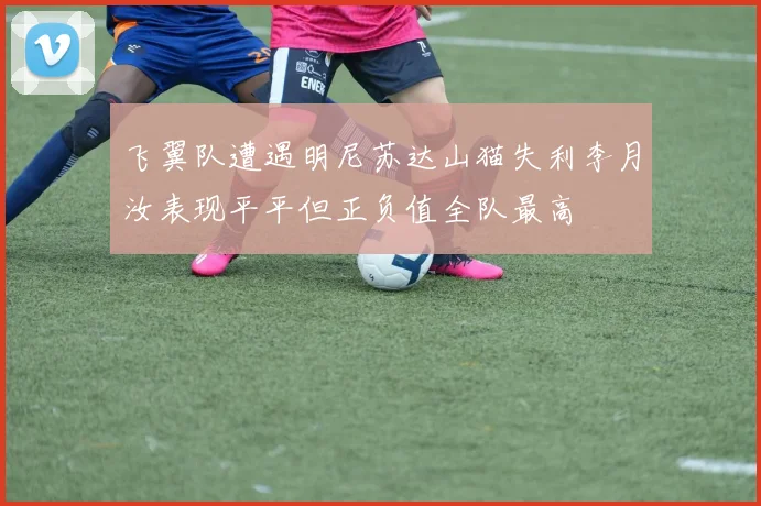 飞翼队遭遇明尼苏达山猫失利李月汝表现平平但正负值全队最高